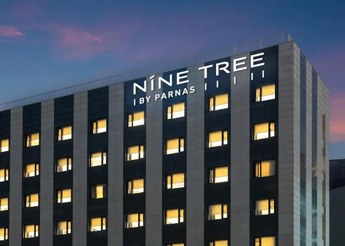 Nine Tree By Parnas Dongdaemun