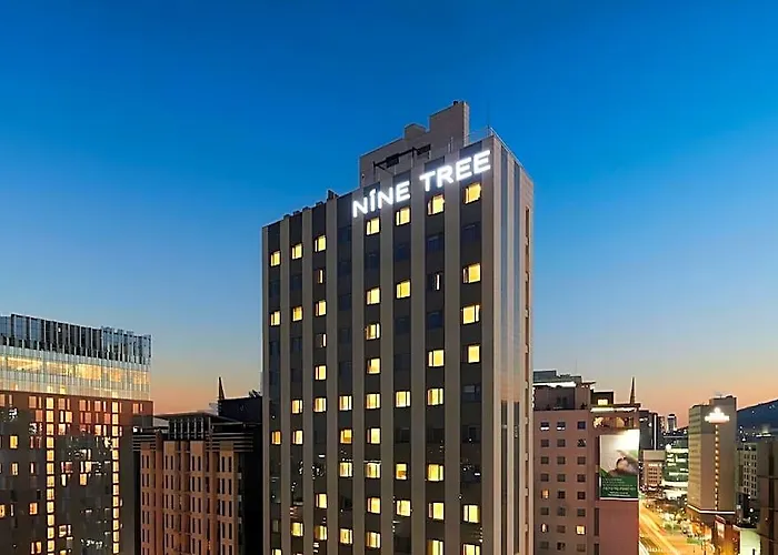 Hotel Nine Tree By Parnas Dongdaemun